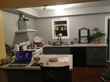 Kitchen with Grey Walls