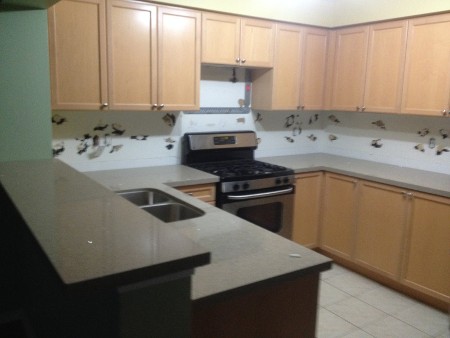 Dianne's Quartz Countertops