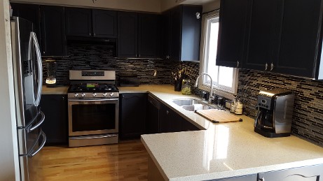 Ron and Leslie's Quartz Countertop