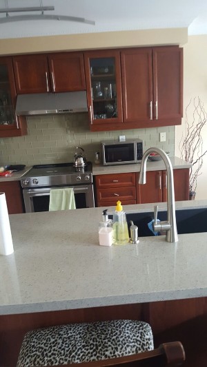 Quartz Countertop